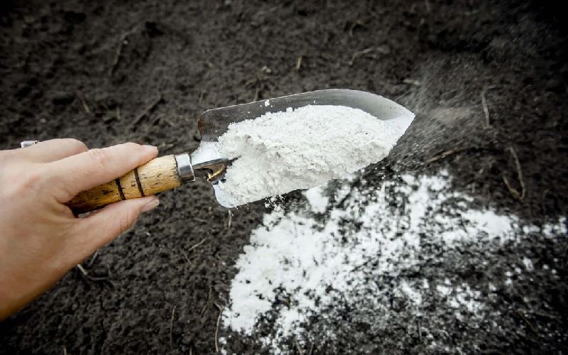 کلسیم کربنات چیست؟ کاربرد قرص کلسیم کربنات