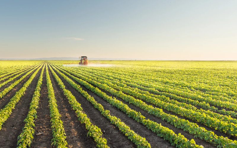 اسید سولفوریک در کشاورزی